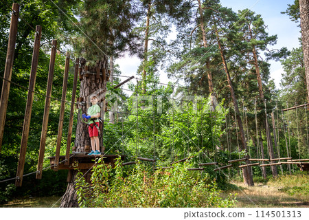 Strong excited young boy playing outdoors in rope park. Caucasian child dressed in casual clothes and sneakers at warm sunny day. Active leisure time with children concept 114501313