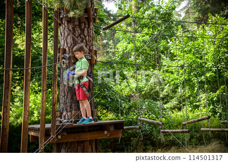 Strong excited young boy playing outdoors in rope park. Caucasian child dressed in casual clothes and sneakers at warm sunny day. Active leisure time with children concept 114501317