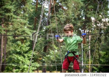 Strong excited young boy playing outdoors in rope park. Caucasian child dressed in casual clothes and sneakers at warm sunny day. Active leisure time with children concept 114501322