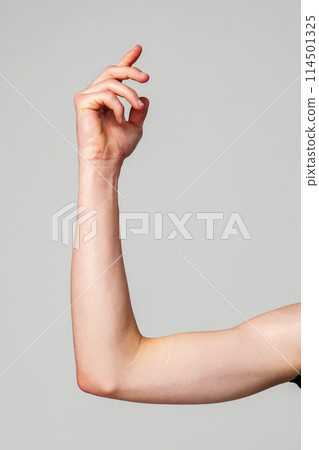 Elevated Bare Human Arm Bent at the Elbow Against a Neutral Background Elevated Bare Human Arm Bent at the Elbow Against a Neutral Background 114501325