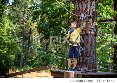 Strong excited young boy playing outdoors in rope park. Caucasia Strong excited young boy playing outdoors in rope park. Caucasia 114501378