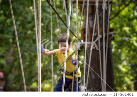 Strong excited young boy playing outdoors in rope park. Caucasian child dressed in casual clothes and sneakers at warm sunny day. Active leisure time with children concept 114501401