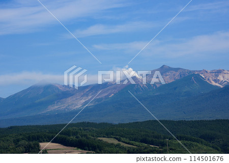美瑛的田野和山脈 114501676