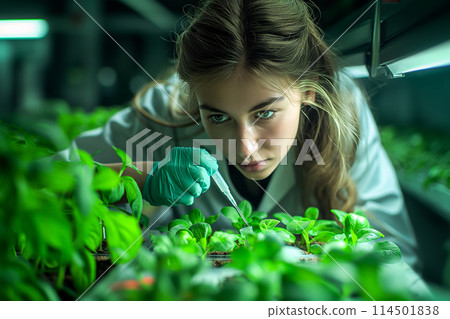 Female researcher examining plants in a laboratory Female researcher examining plants in a laboratory 114501838
