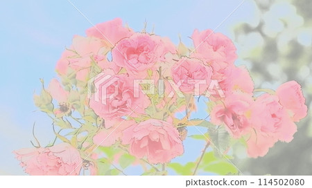 Dark pink roses 114502080