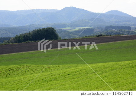 Scenery of Biei in September 114502715