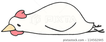 A tired chicken resting on its stomach A tired chicken resting on its stomach 114502945