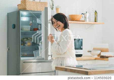 fridge, kitchen, kitchens 114503020