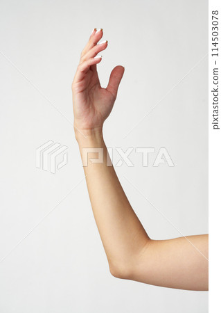 Female hand on white background close up Female hand on white background close up 114503078