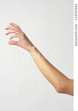 Hand picking something against white background copy space Hand picking something against white background copy space 114503081