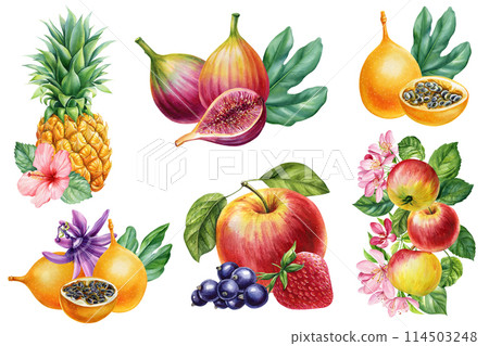 Set fruit, pineapple, Apple, berries, strawberry, fruit isolated, composition watercolor botanical illustration 114503248