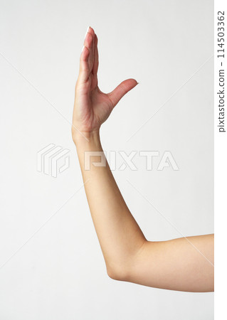 Female hand on white background close up Female hand on white background close up 114503362