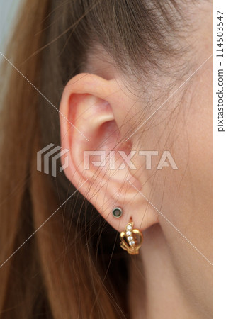 Female head with ear and hair close up Female head with ear and hair close up 114503547
