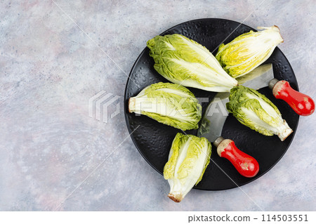 Fresh green Romaine lettuce Fresh green Romaine lettuce 114503551
