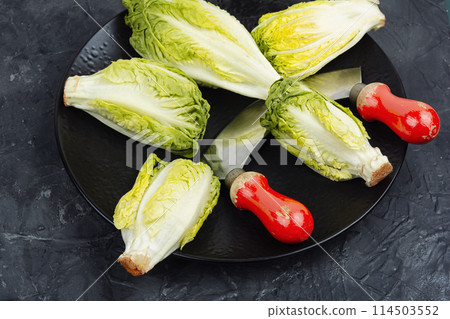 Group of Romaine lettuce hearts Group of Romaine lettuce hearts 114503552