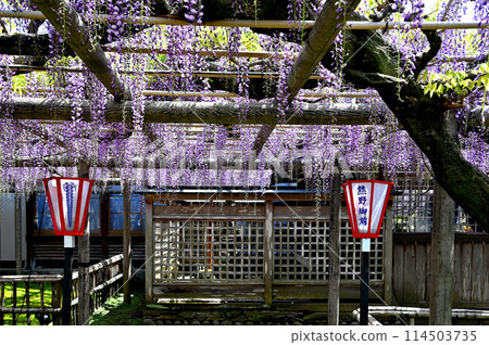 熊野的長門行光寺 114503735