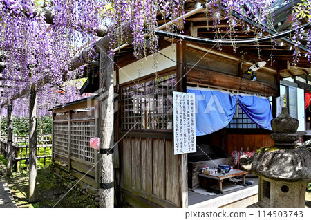 熊野的長門行光寺 熊野的長門行光寺 114503743