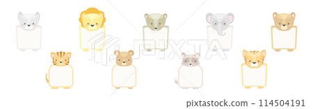 Animal Note Card with Empty Space Vector Set 114504191
