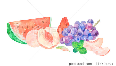 Watercolor illustration of summer fruits 114504294