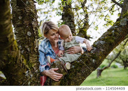 Portrait of beautiful mature first time mother with small toddler, outdoors in spring nature, sitting on tree branch. Portrait of beautiful mature first time mother with small toddler, outdoors in spring nature, sitting on tree branch. 114504409