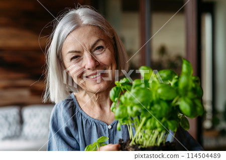 Portrait of beautiful mature woman taking care of plants on balcony. Spending free weekend at home. 114504489