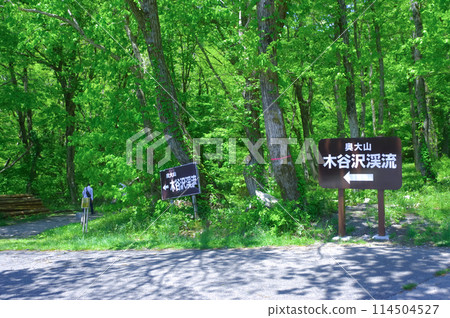 Entrance to the Kitanizawa Stream in Tottori Prefecture Entrance to the Kitanizawa Stream in Tottori Prefecture 114504527