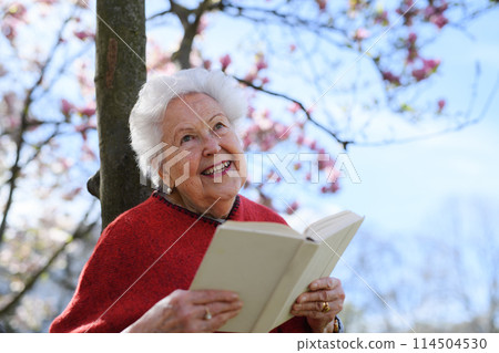 Beautiful elderly woman reading book outdoor, in park, having relaxing moment. Grandmother reading the bible in the cemetery. Beautiful elderly woman reading book outdoor, in park, having relaxing moment. Grandmother reading the bible in the cemetery. 114504530