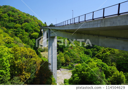 湯之山鴨鹿橋 114504629