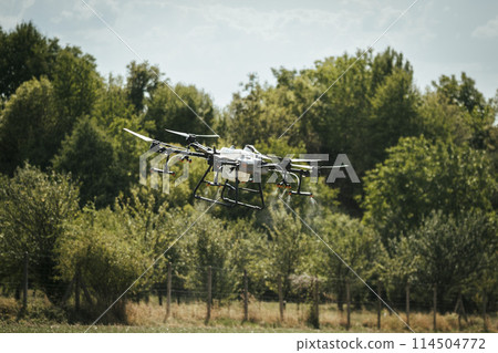 Agricultural drones spraying crops, distribute pesticides, herbicides and fertilizers efficiently and precisely. Aerial view of a drone moderning over farm fields, modern farming. 114504772