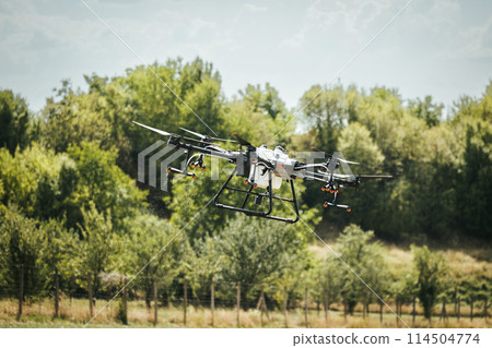 Agricultural drones spraying crops, distribute pesticides, herbicides and fertilizers efficiently and precisely. Aerial view of a drone moderning over farm fields, modern farming. 114504774