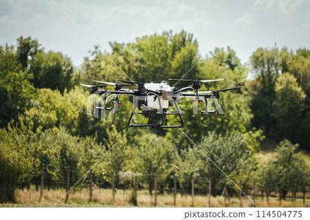 Agricultural drones spraying crops, distribute pesticides, herbicides and fertilizers efficiently and precisely. Aerial view of a drone moderning over farm fields, modern farming. 114504775