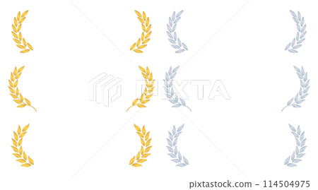 Gold and silver bay frameset 114504975
