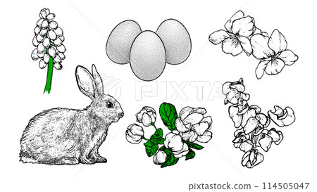 Graphical spring set isolated on white background, vector illustration 114505047