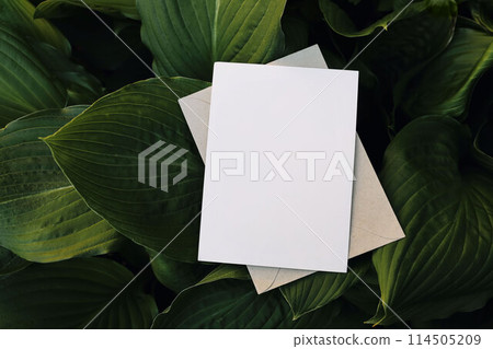 Moody summer tropical wedding stationery mock-up. Blank greeting card, envelope over dark green hostas plant leaves. Natural floral, exotic photo, web banner. Plantain lilies. Flat lay, top view. 114505209