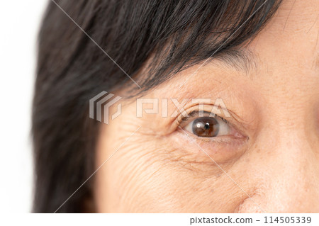 女性眼睛高級 114505339