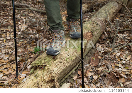 Trekking, hiking, mountain climbing image Trekking, hiking, mountain climbing image 114505544