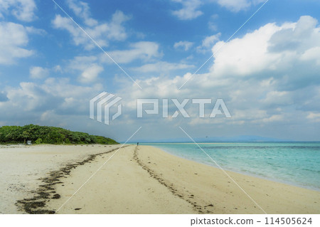 Taketomi Island, Okinawa Prefecture: Dazzling sandy beaches, blue skies, and clear green seas Taketomi Island, Okinawa Prefecture: Dazzling sandy beaches, blue skies, and clear green seas 114505624