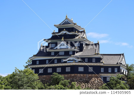 令和大整修後的岡山城 114505905