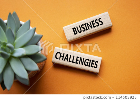 Business challenges symbol. Concept word Business challenges on wooden blocks. Beautiful orange background with succulent plant. Business and Business challenges concept. Copy space 114505923
