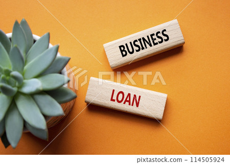 Business loan symbol. Concept words business loan on wooden blocks. Beautiful orange background with succulent plant. Business and business loan concept. Copy space. Business loan symbol. Concept words business loan on wooden blocks. Beautiful orange background with succulent plant. Business and business loan concept. Copy space. 114505924