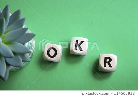 OKR objectives and key results symbol. Wooden cubes with words OKR objectives and key results. Beautiful green background with succulent plant. Business and OKR concept. Copy space. OKR objectives and key results symbol. Wooden cubes with words OKR objectives and key results. Beautiful green background with succulent plant. Business and OKR concept. Copy space. 114505938