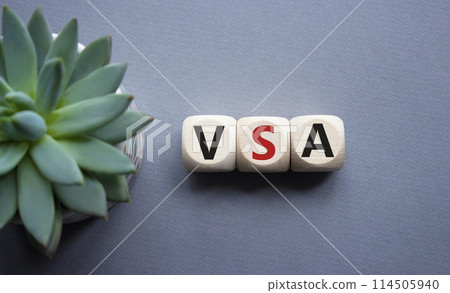 VSA - Volume Spread Analysis symbol. Wooden cubes with word VSA. Beautiful grey background with succulent plant. Business and Volume Spread Analysis concept. Copy space. VSA - Volume Spread Analysis symbol. Wooden cubes with word VSA. Beautiful grey background with succulent plant. Business and Volume Spread Analysis concept. Copy space. 114505940