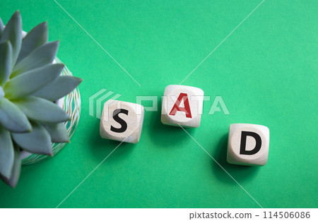 Sad symbol. Wooden cubes with words Sad. Beautiful green background with succulent plant. Business and Sad concept. Copy space. 114506086