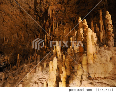 沖繩世界 114506741