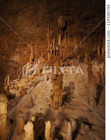 Okinawa World 114506748