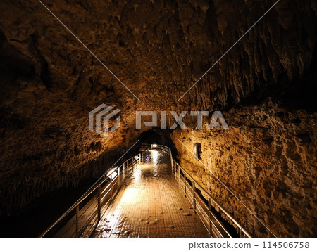 Okinawa World Okinawa World 114506758