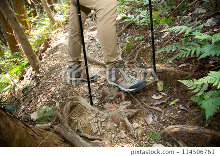 Mountaineering, trekking, hiking 114506761