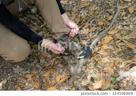 Trekking, hiking, mountain climbing image 114506909