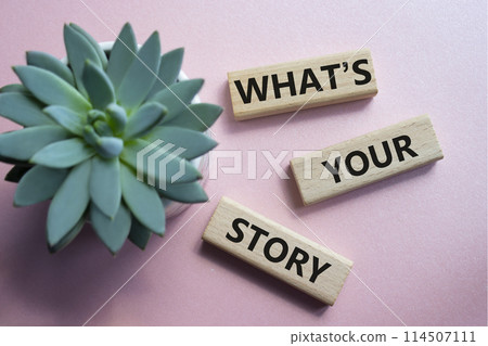 What is your story symbol. Concept words What is your story on wooden blocks. Beautiful pink background with succulent plant. Business and What is your story concept. Copy space. 114507111