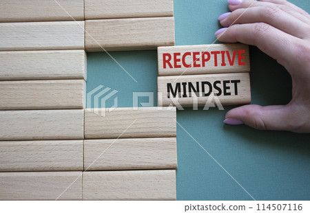 Receptive Mindset symbol. Concept word Receptive Mindset on wooden blocks. Beautiful grey green background. Businessman hand. Business and Receptive Mindset concept. Copy space 114507116